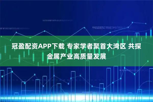冠盈配资APP下载 专家学者聚首大湾区 共探金属产业高质量发展