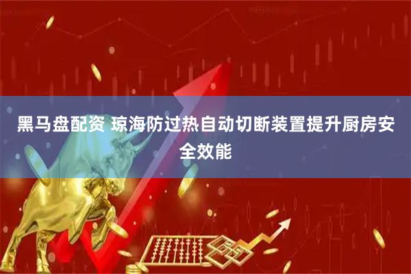 黑马盘配资 琼海防过热自动切断装置提升厨房安全效能