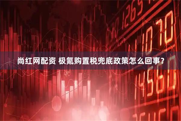尚红网配资 极氪购置税兜底政策怎么回事？