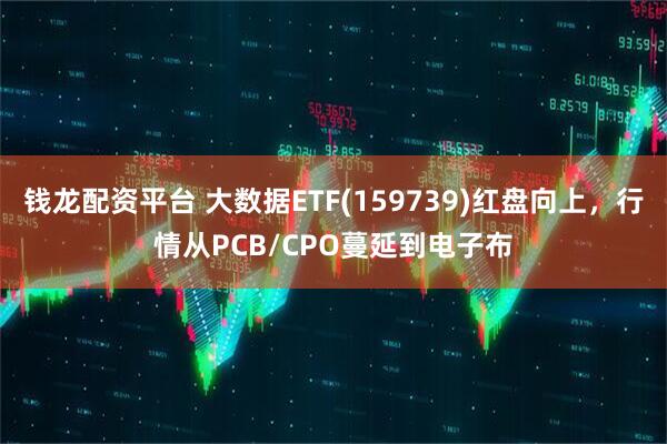 钱龙配资平台 大数据ETF(159739)红盘向上，行情从PCB/CPO蔓延到电子布