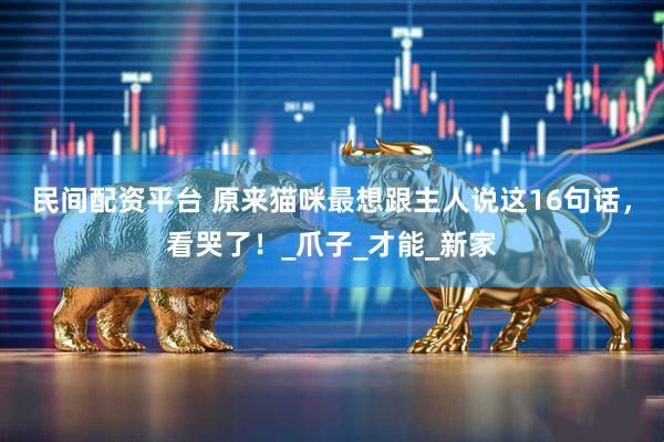 民间配资平台 原来猫咪最想跟主人说这16句话，看哭了！_爪子_才能_新家