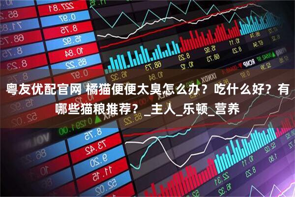 粤友优配官网 橘猫便便太臭怎么办？吃什么好？有哪些猫粮推荐？_主人_乐顿_营养