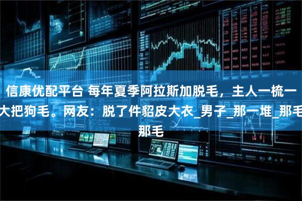 信康优配平台 每年夏季阿拉斯加脱毛，主人一梳一大把狗毛。网友：脱了件貂皮大衣_男子_那一堆_那毛
