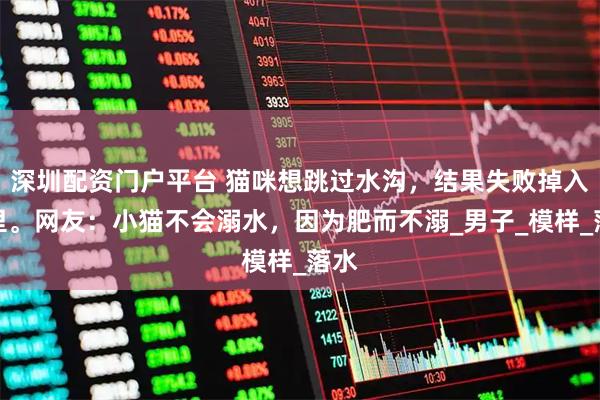 深圳配资门户平台 猫咪想跳过水沟，结果失败掉入水里。网友：小猫不会溺水，因为肥而不溺_男子_模样_落水