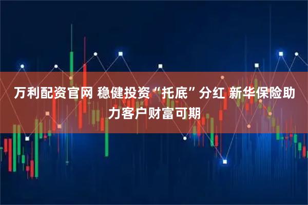 万利配资官网 稳健投资“托底”分红 新华保险助力客户财富可期